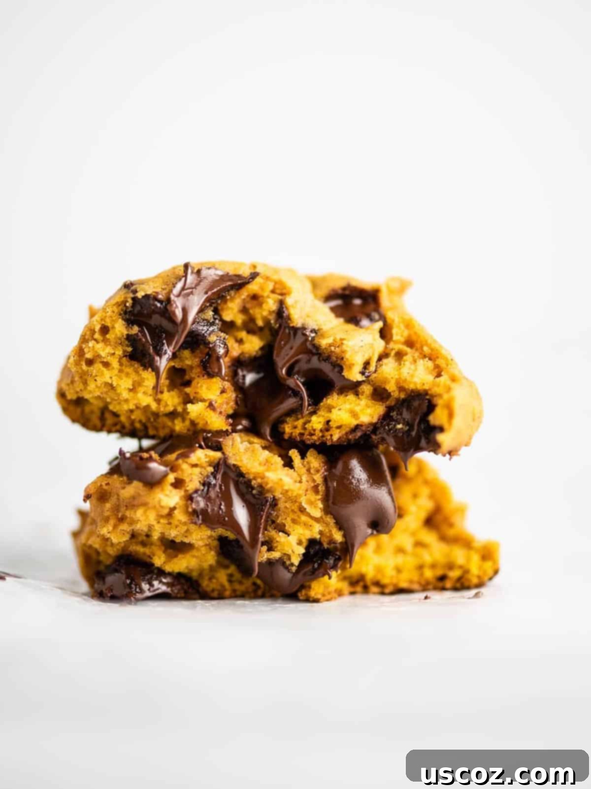 pumpkin chocolate chip cookies