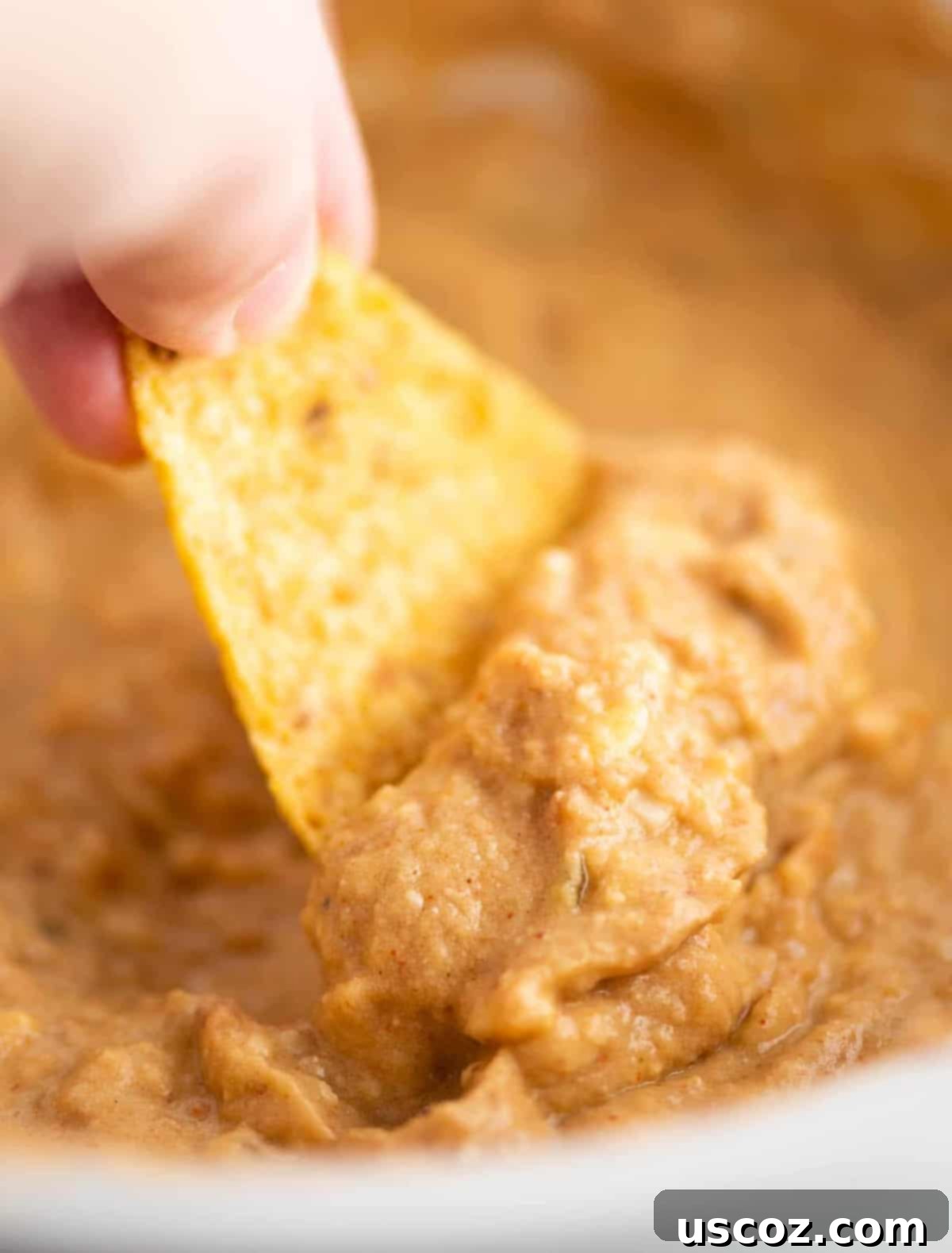Slow Cooker Fiesta Bean Dip 14 a chip dipping bean dip from the slow cooker