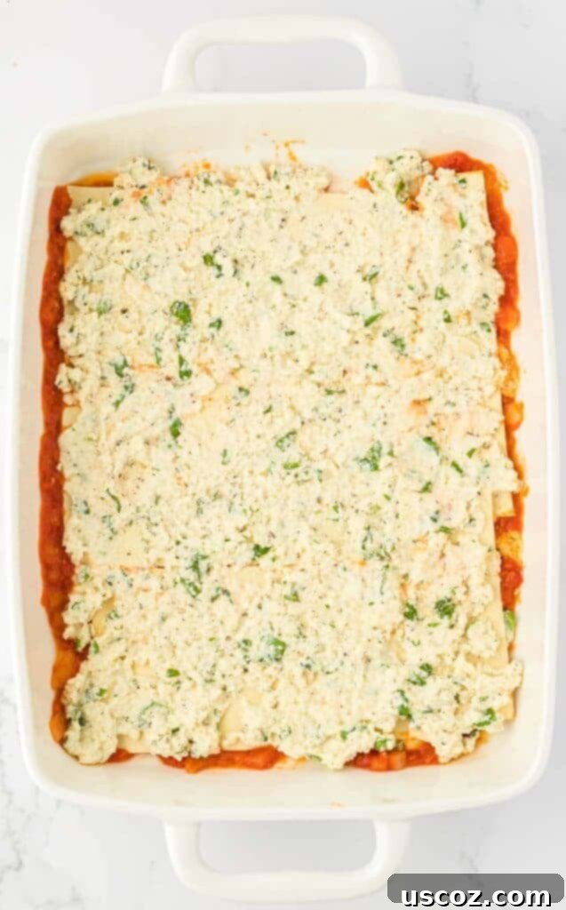 Classic Cheese Lasagna 12 A smooth, white layer of ricotta cheese mixture carefully spread over the lasagna noodles, forming the next delicious layer.