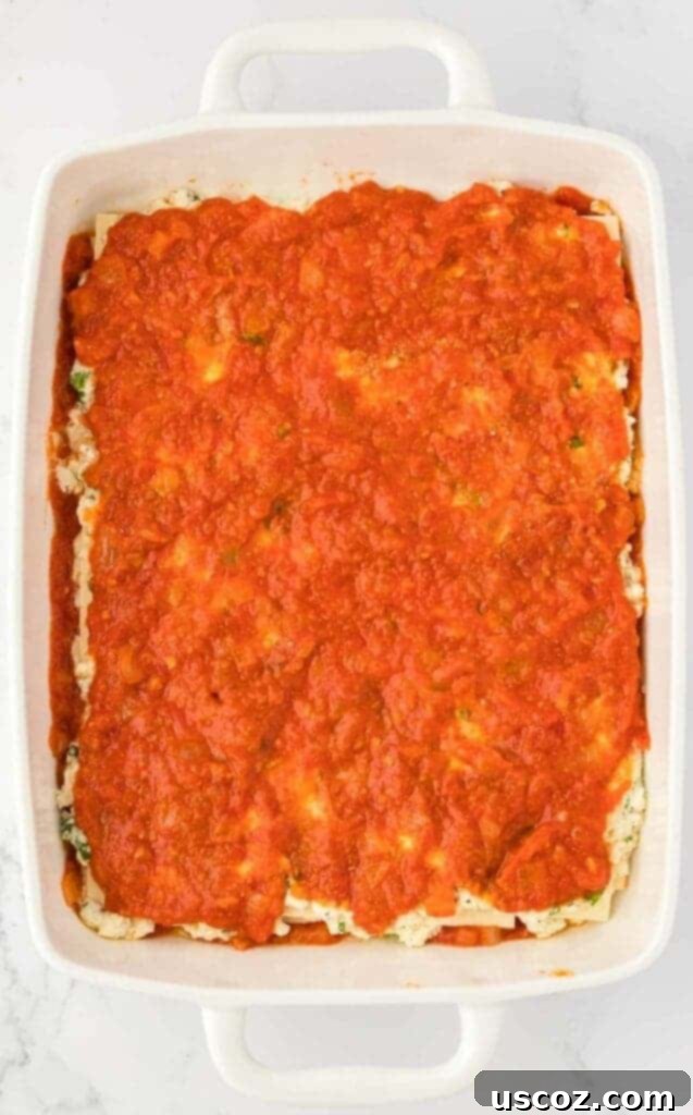 Classic Cheese Lasagna 13 A rich layer of red pasta sauce spread over the creamy ricotta mixture in the lasagna, adding moisture and flavor.