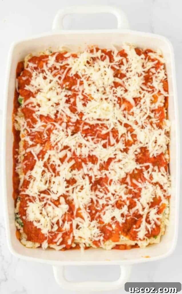 Classic Cheese Lasagna 14 Generous amount of shredded mozzarella cheese sprinkled over a layer of pasta sauce, preparing for the next layer of noodles.