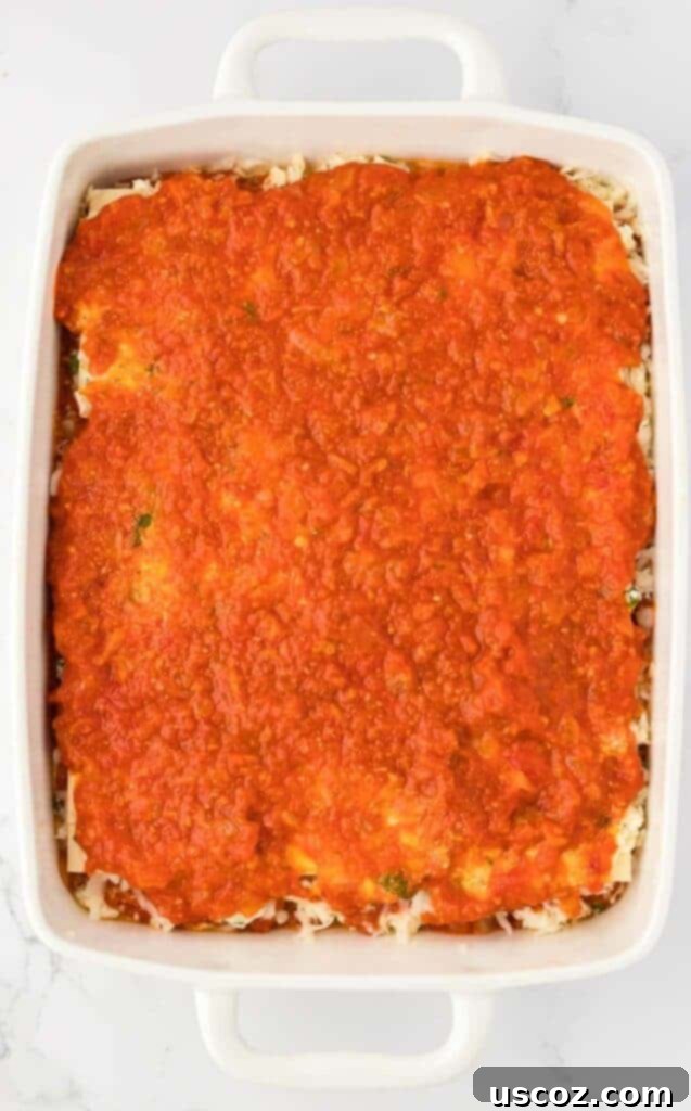 Classic Cheese Lasagna 21 A final layer of pasta sauce covering the top of the assembled lasagna, providing moisture and flavor before the last cheese topping.