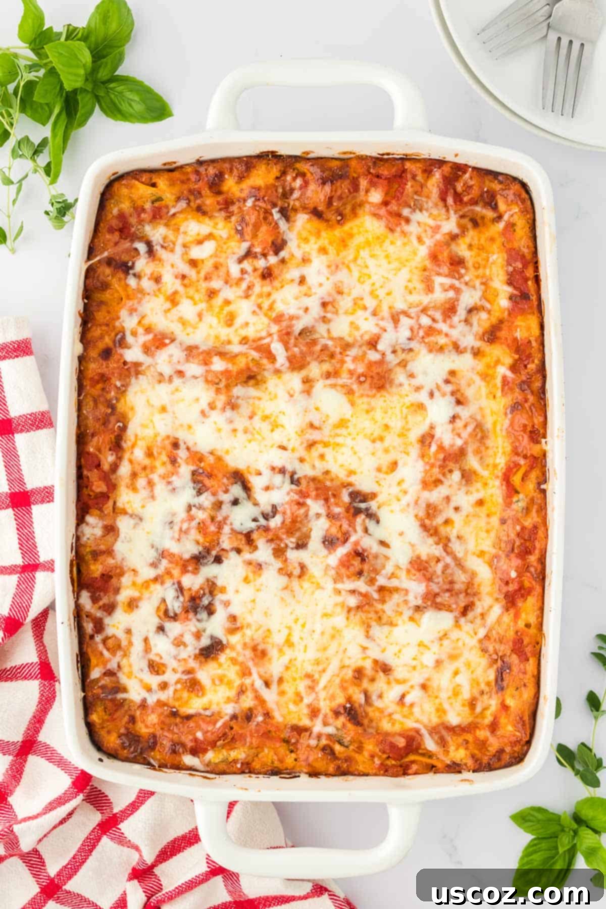 Classic Cheese Lasagna 24 A freshly baked cheese lasagna in a glass baking dish, with the top layer of mozzarella melted and bubbling golden-brown, straight from the oven.