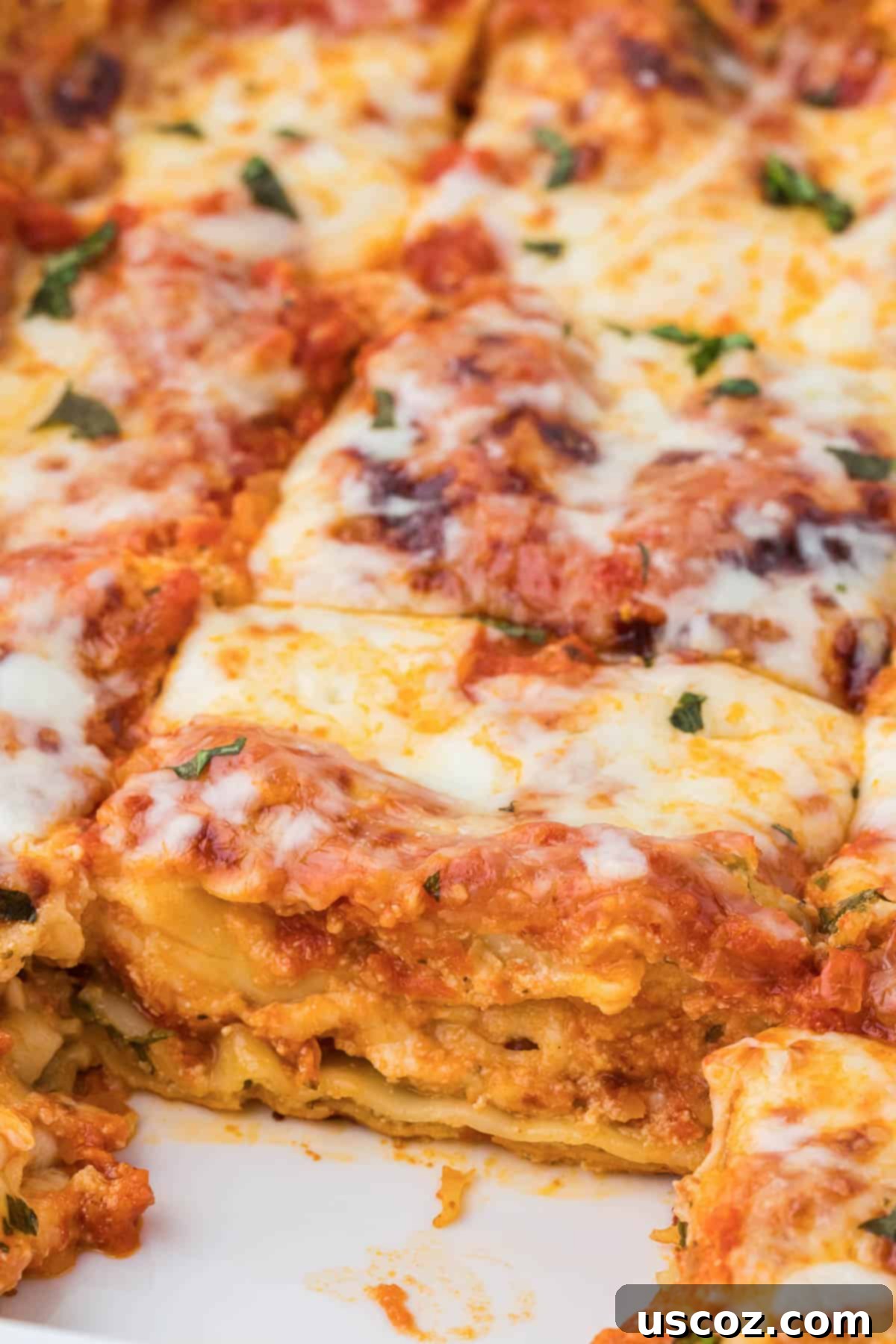 Classic Cheese Lasagna 28 A close-up of a rustic slice of three cheese lasagna on a dark background, showing the texture of the melted cheeses and tender noodles.