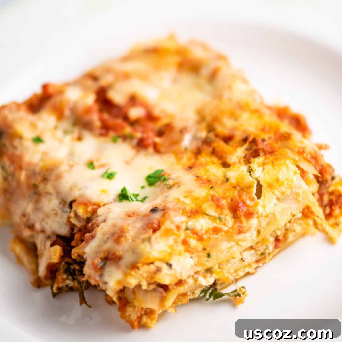 Classic Cheese Lasagna 31 A beautifully presented slice of three cheese lasagna on a white plate, garnished with fresh basil, ready to be enjoyed.