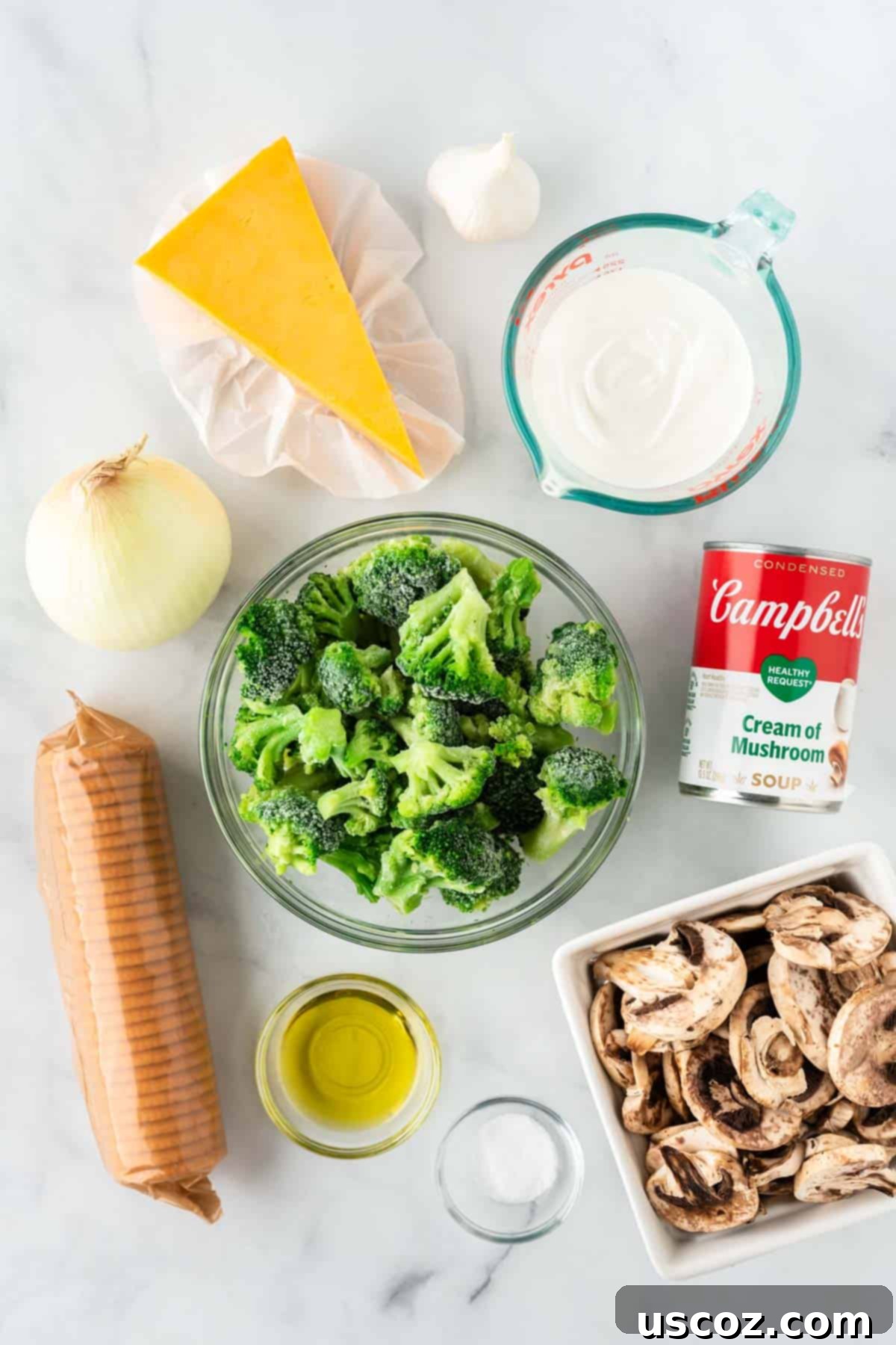 Crispy Ritz Broccoli Bake 4 ingredients needed to make broccoli casserole with ritz crackers