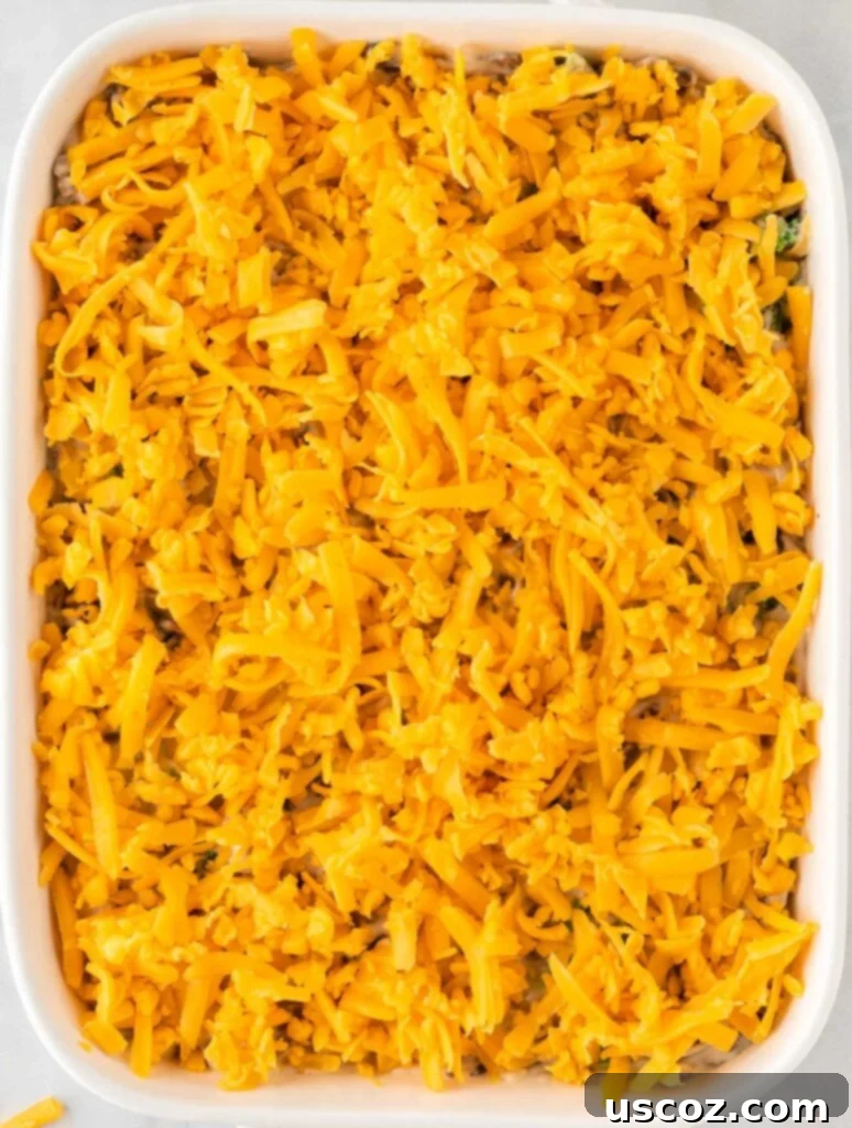 Crispy Ritz Broccoli Bake 10 broccoli casserole topped with cheddar cheese