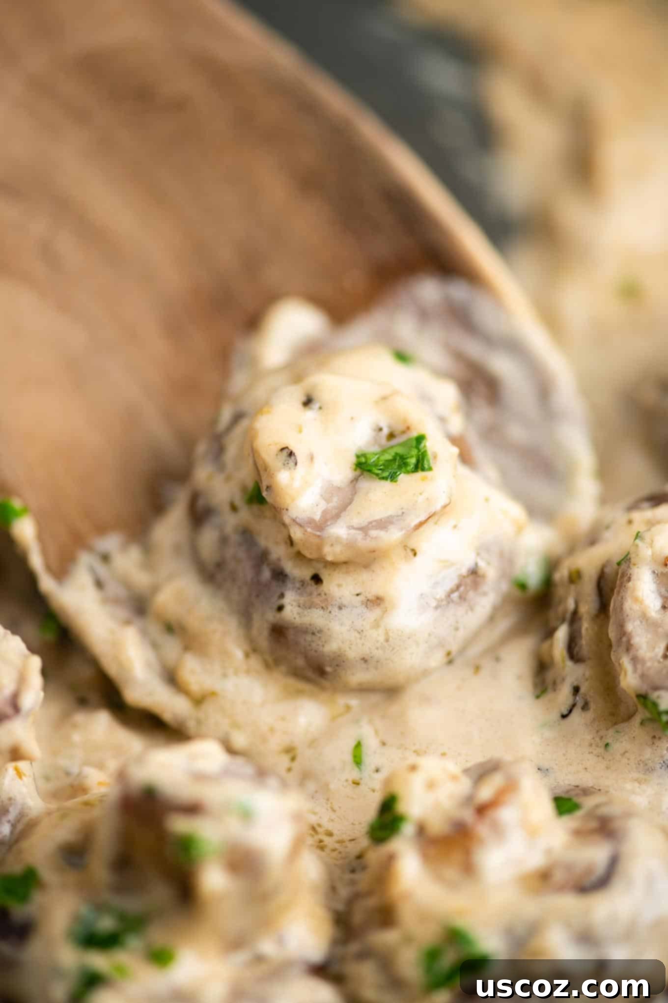 Creamy Garlic Mushroom Delight 6 Single creamy garlic mushroom held on a wooden spoon, showcasing its perfect coating of parmesan cream sauce.
