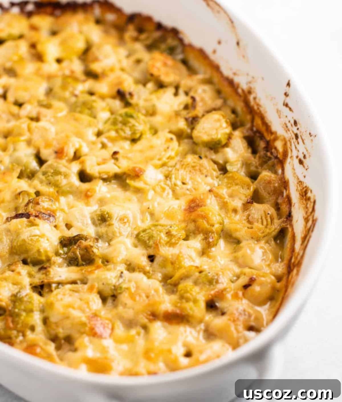 Golden Cheesy Brussels 2 Oval white dish of bubbly cheesy brussel sprout gratin, golden brown and perfectly baked.