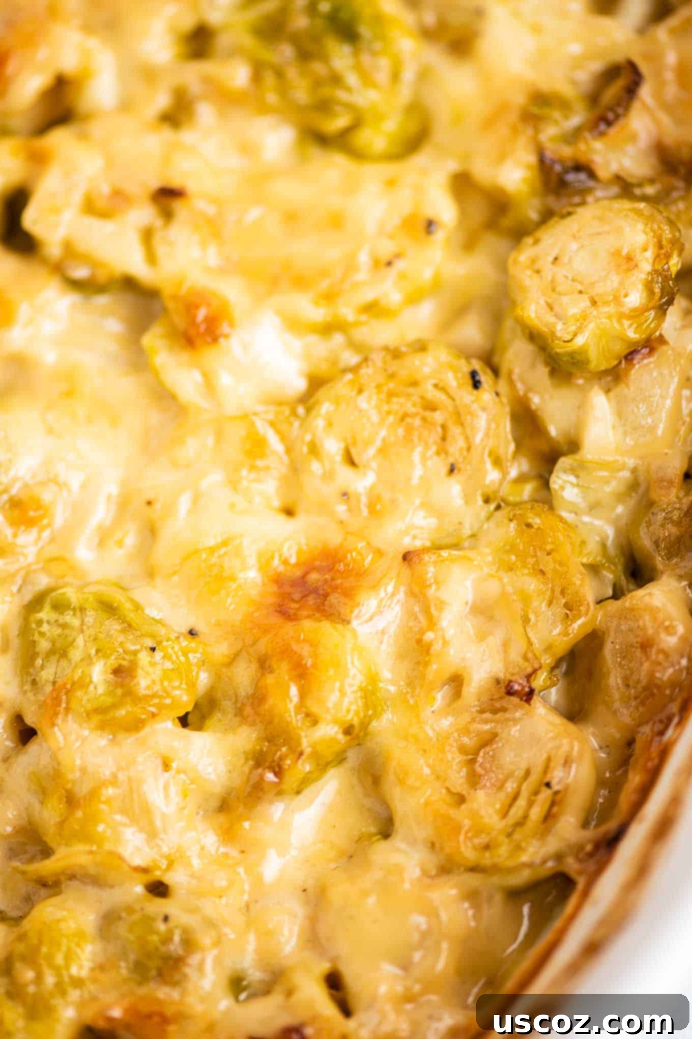 Golden Cheesy Brussels 11 A close-up of cheesy, bubbling Brussels sprouts gratin, with hints of golden crust on top.