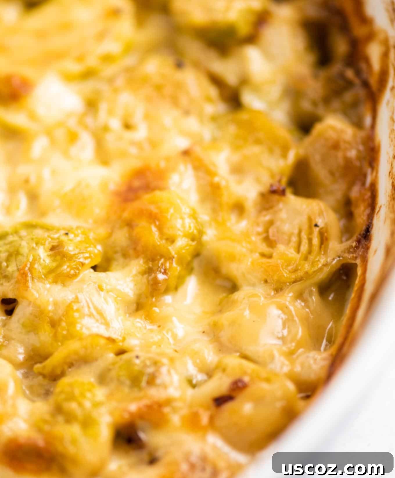 Golden Cheesy Brussels 4 Close-up overhead view of bubbly, golden-brown Brussels sprouts gratin in an oval baking dish.