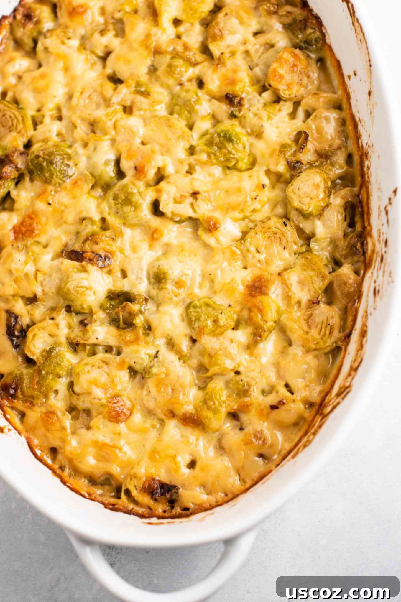 Golden Cheesy Brussels 9 Overhead view of a finished cheesy Brussels sprouts gratin, fresh out of the oven, with a golden-brown bubbly top.