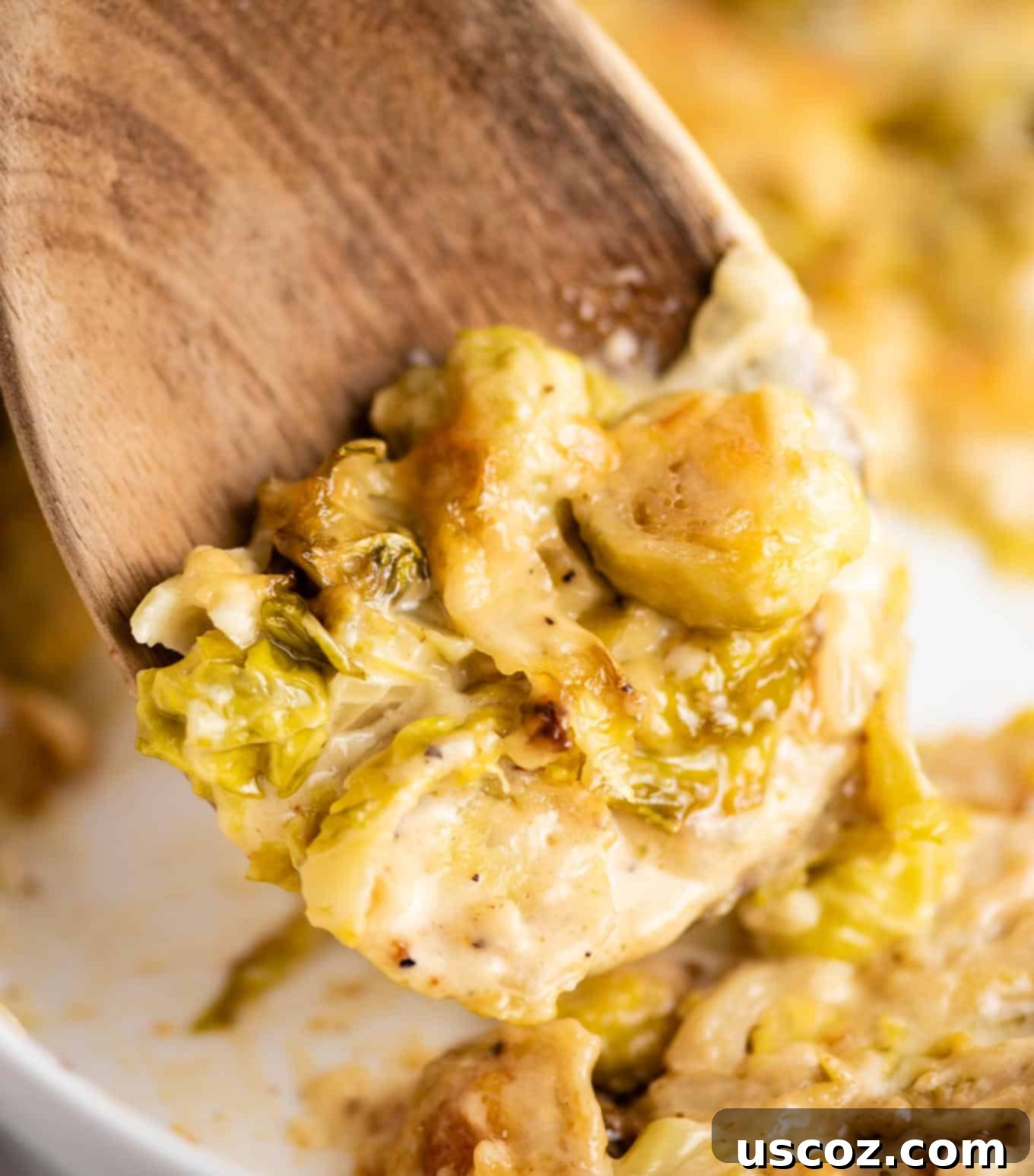 Golden Cheesy Brussels 10 Close-up of a spoonful of cheesy Brussels sprouts gratin, showing the creamy texture and melted cheese.