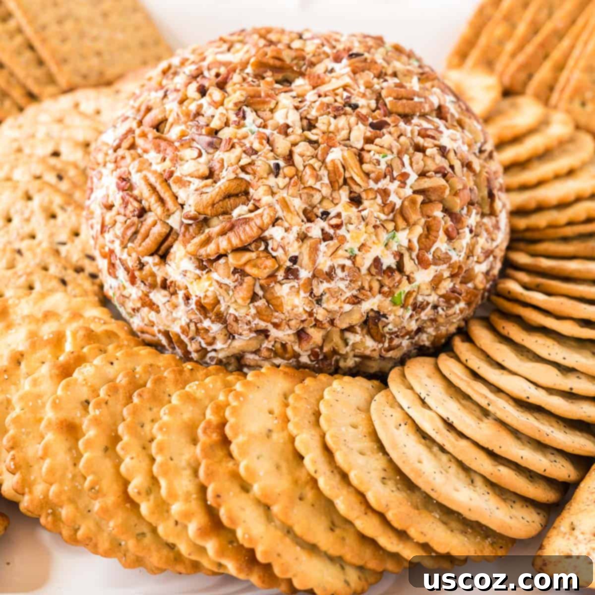 Party Perfect Cheese Ball 2 Delicious cheese ball surrounded by a variety of crispy crackers, ready to be served at a festive gathering.