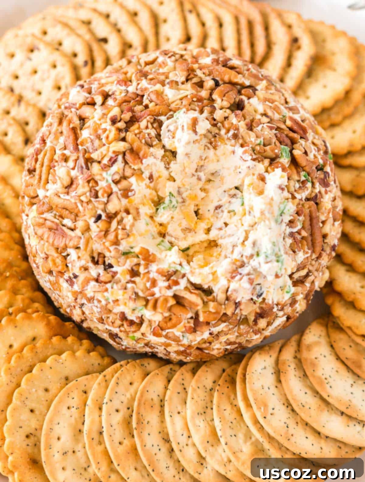Party Perfect Cheese Ball 12 A festive cheese ball platter featuring the cheese ball coated in pecans, surrounded by an array of various crackers.