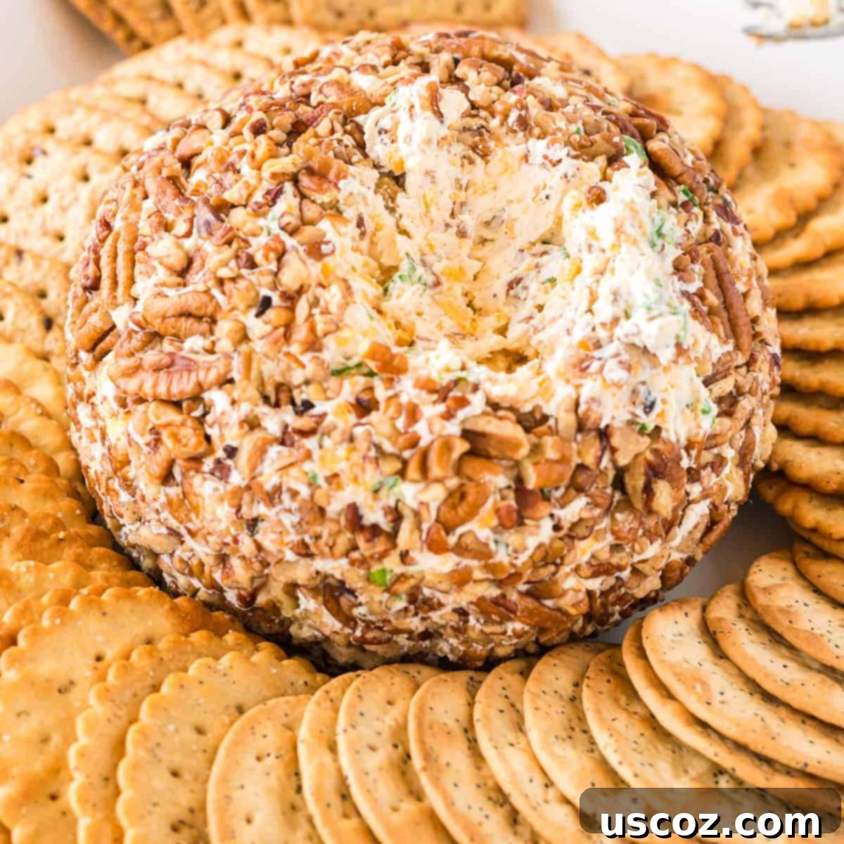 Party Perfect Cheese Ball 13 A large cheese ball with a section removed, showing the creamy, speckled interior and the thick pecan coating.