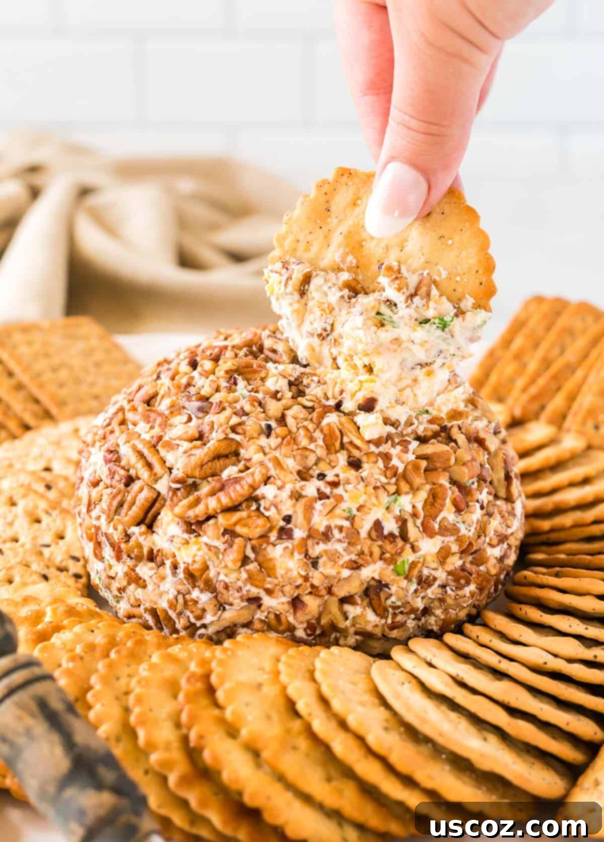 Party Perfect Cheese Ball 14 A cracker fully loaded with cheese ball, ready for a bite, emphasizing the deliciousness of this appetizer.