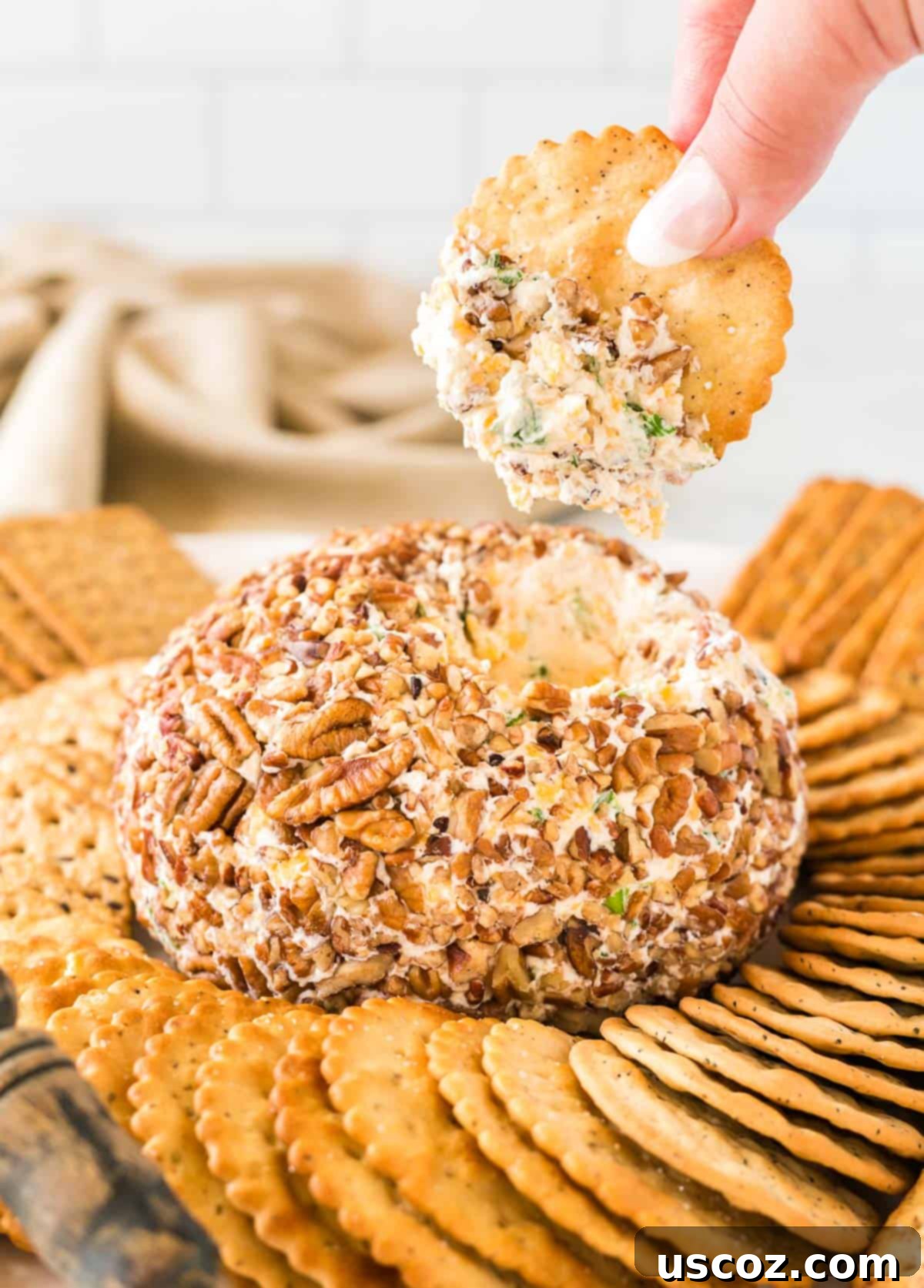 Party Perfect Cheese Ball 3 Close-up of a cracker being dipped into a homemade cheese ball, showcasing its creamy texture and pecan coating.