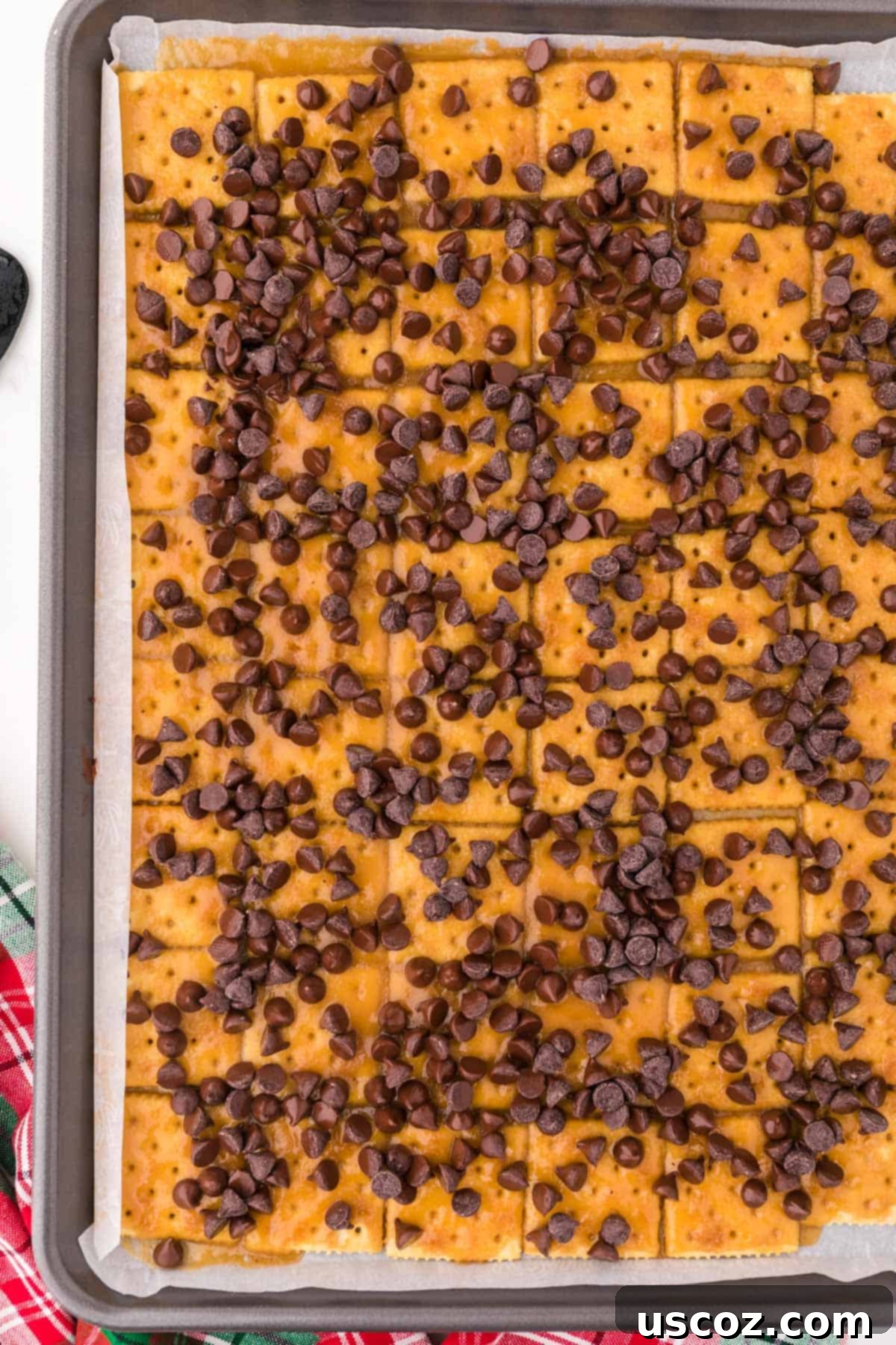 Christmas Cracker Toffee Recipe 11 chocolate chips sprinkled onto the saltineds