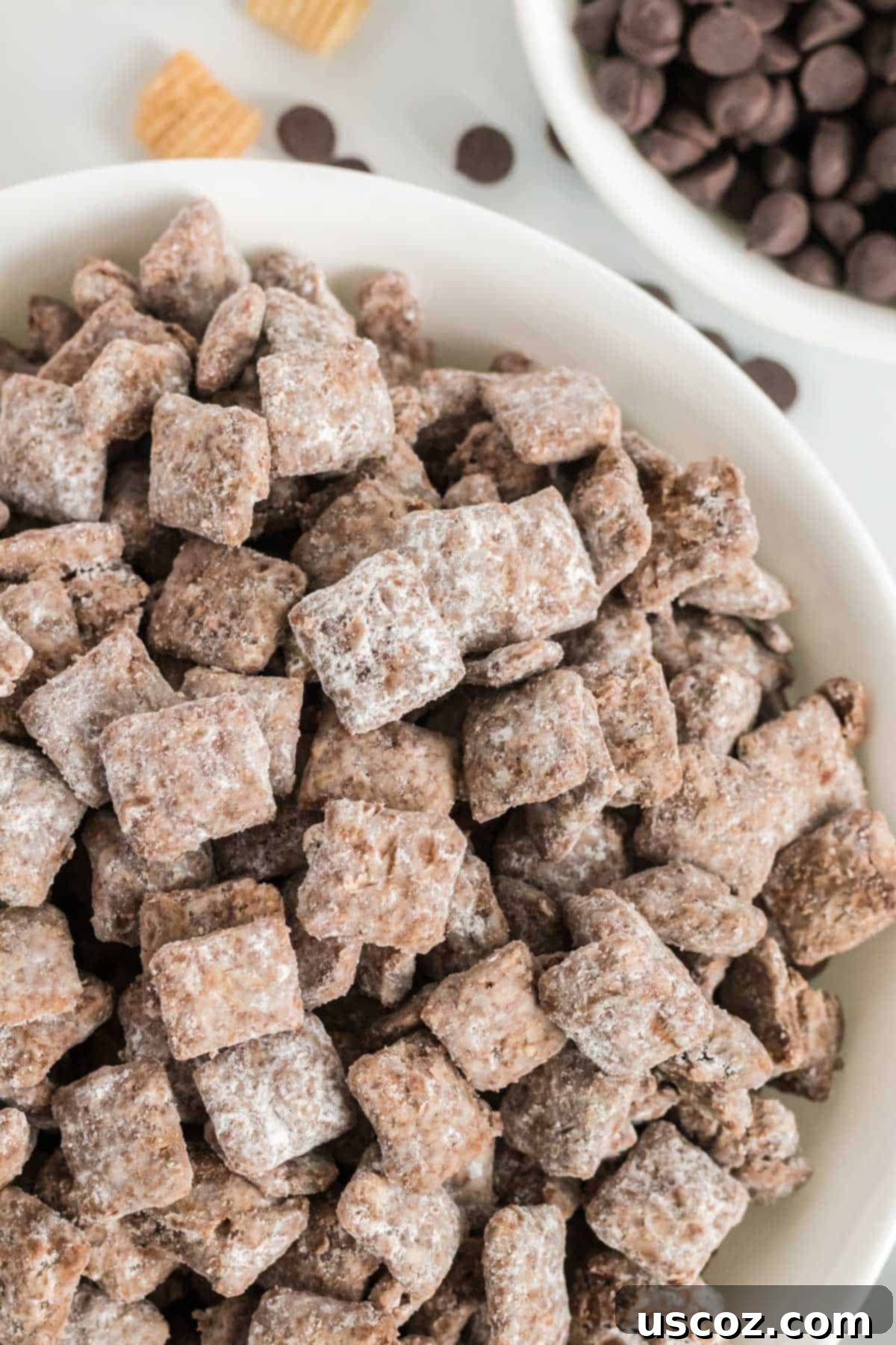 Plant Based Powdered Perfection 2 puppy chow in a bowl