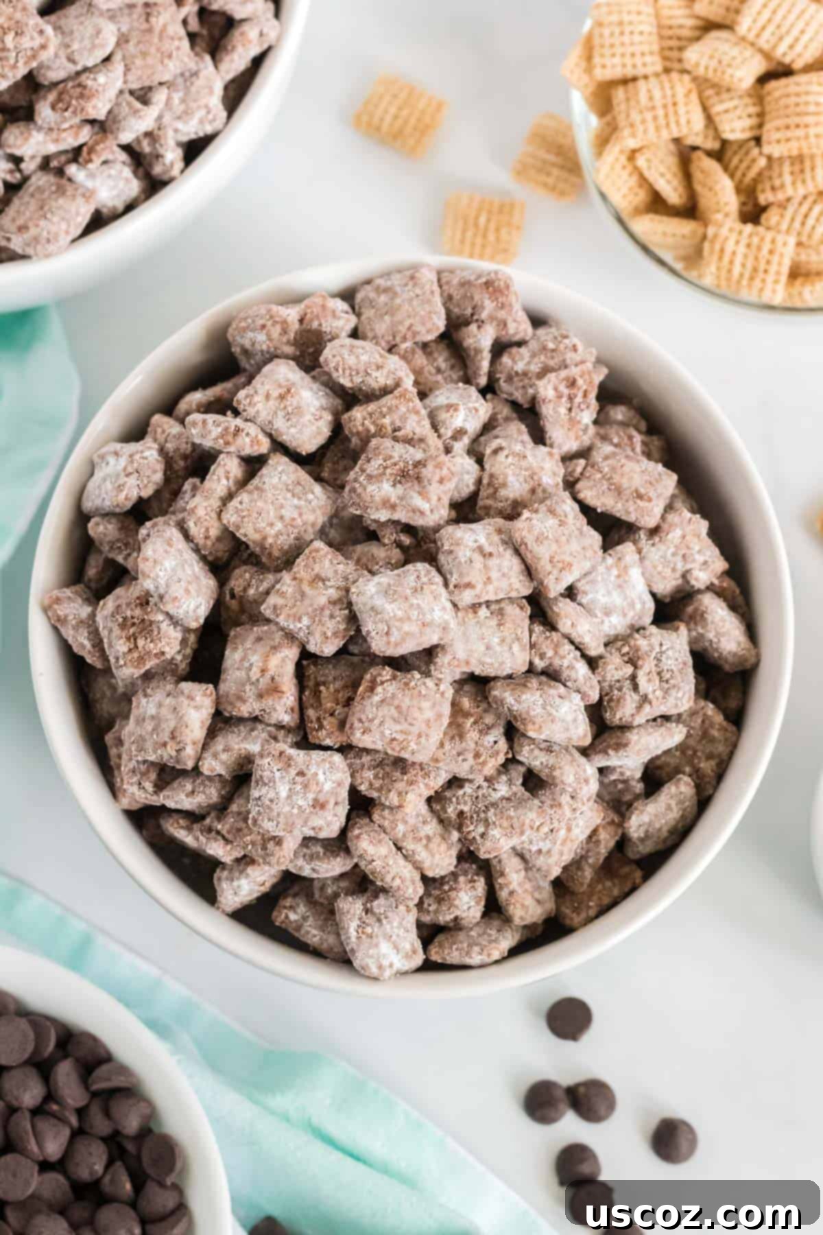 Plant Based Powdered Perfection 11 vegan muddy buddies in a bowl
