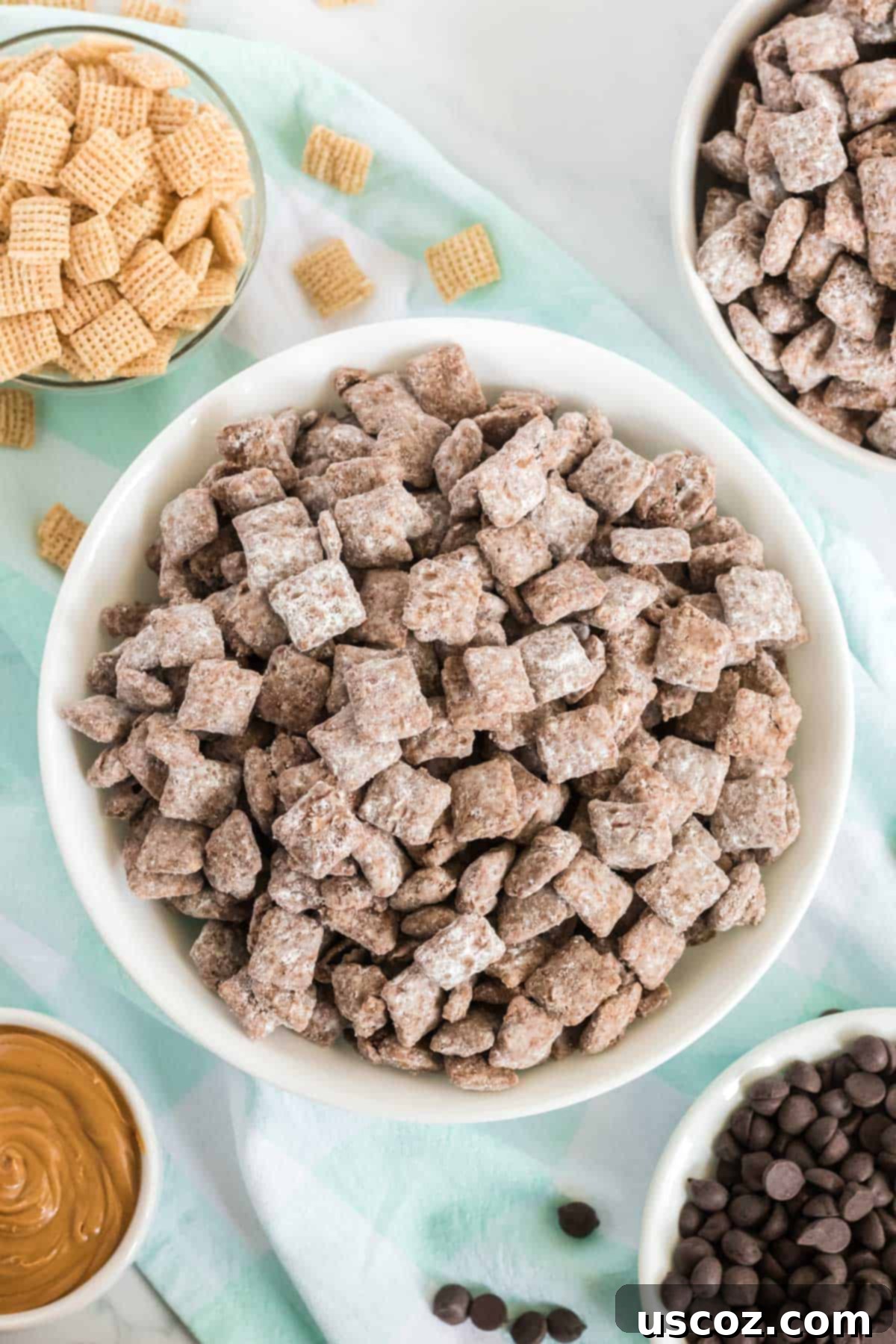 Plant Based Powdered Perfection 12 vegan muddy buddies in a bowl