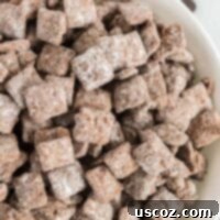 Plant Based Powdered Perfection 13 vegan muddy buddies in a bowl