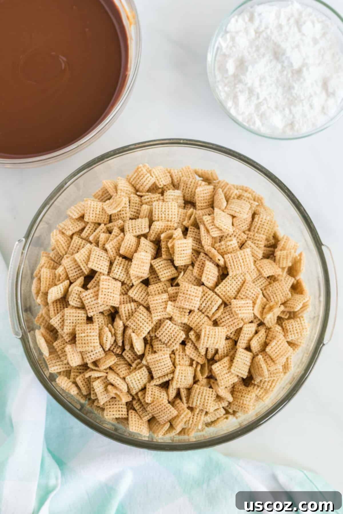 Plant Based Powdered Perfection 6 bowl of rice chex