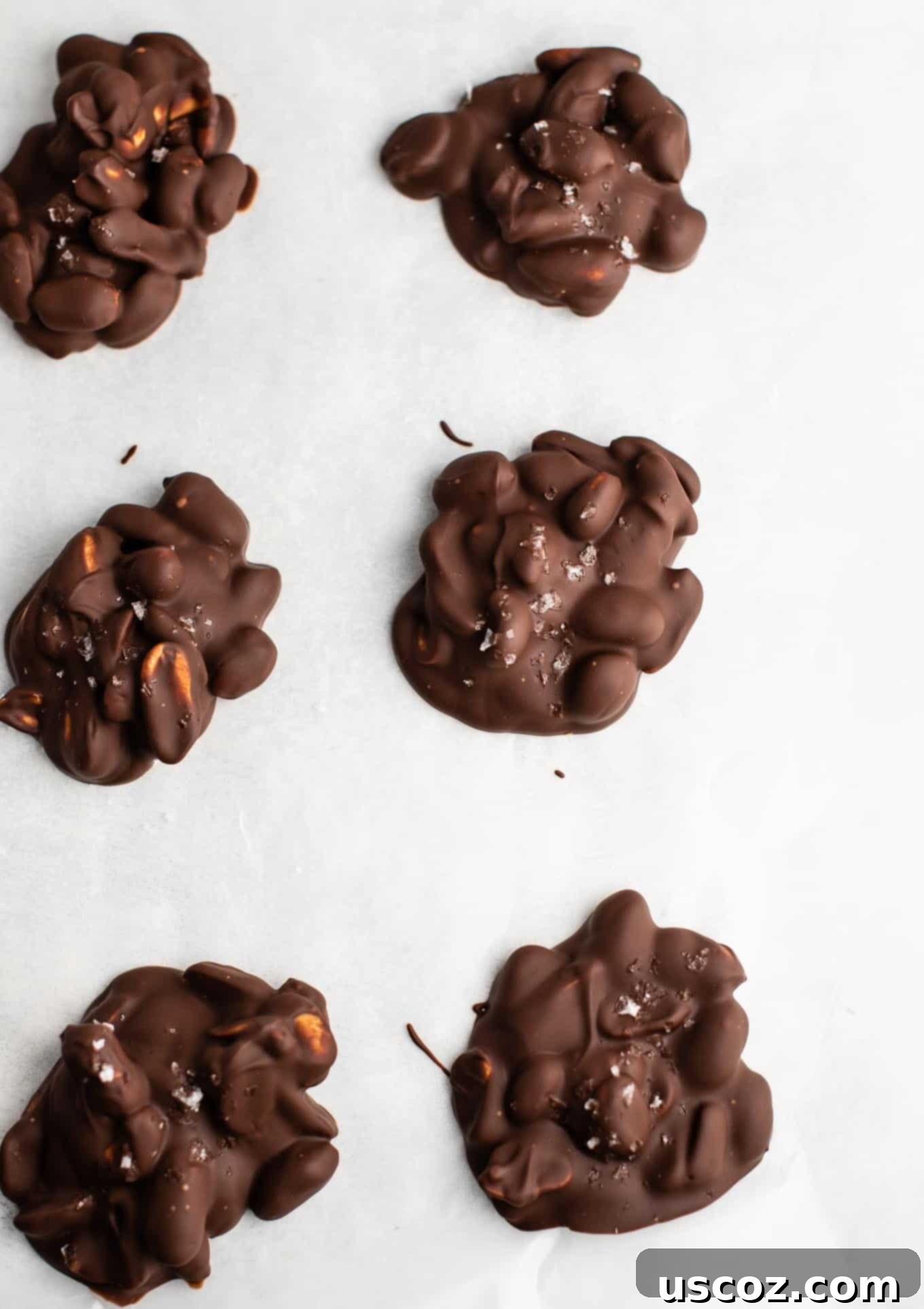Crunchy Peanut Delights 8 Six perfectly formed salted peanut clusters lined up, showcasing the texture and optional sea salt topping.