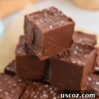 Decadent Vegan Chocolate Peanut Butter Fudge 11 Stacked pieces of delicious vegan chocolate peanut butter fudge, showing the rich dark chocolate and creamy peanut butter layers.