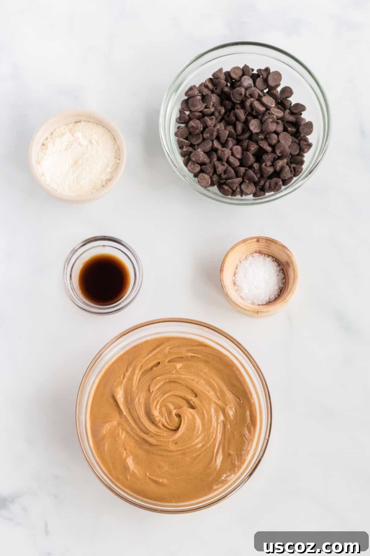Decadent Vegan Chocolate Peanut Butter Fudge 3 Individual ingredients laid out: creamy peanut butter, vanilla extract, chocolate chips, coconut flour, and flaked sea salt, ready to make vegan chocolate peanut butter fudge.