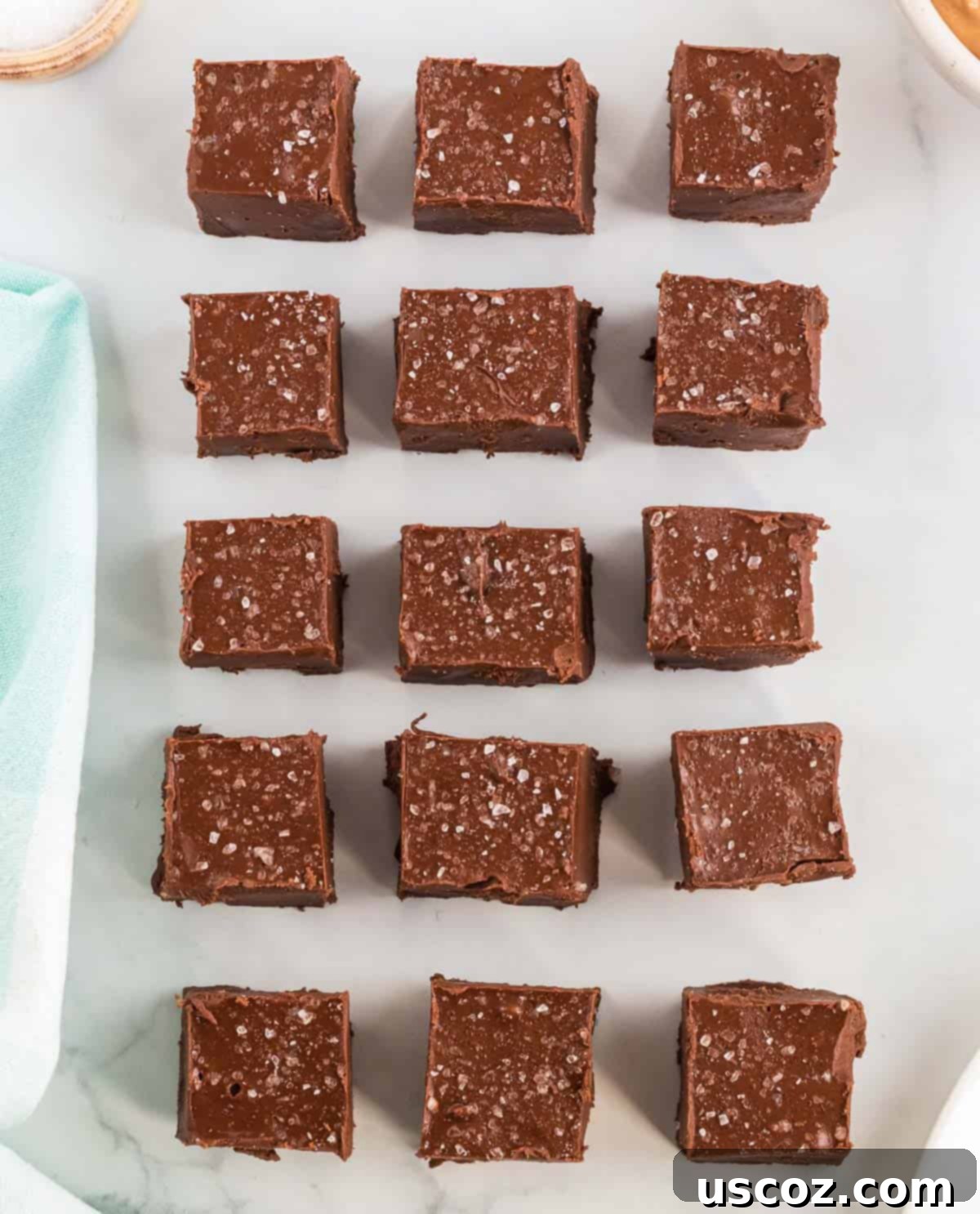 Decadent Vegan Chocolate Peanut Butter Fudge 7 Perfectly cut pieces of vegan chocolate peanut butter fudge, sprinkled with sea salt, ready to be enjoyed.