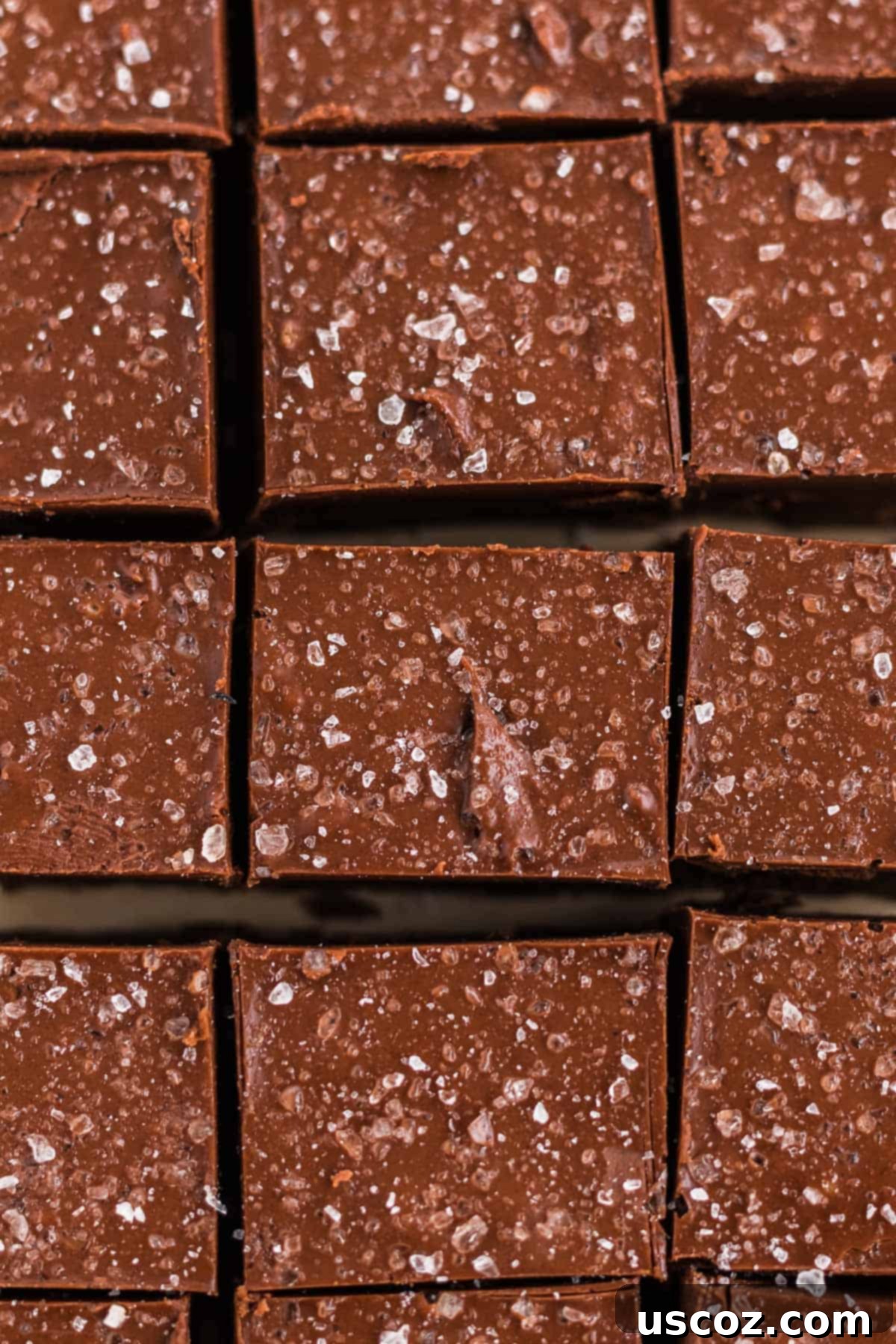 Decadent Vegan Chocolate Peanut Butter Fudge 9 More pieces of vegan chocolate peanut butter fudge, glistening with sea salt, arranged invitingly.