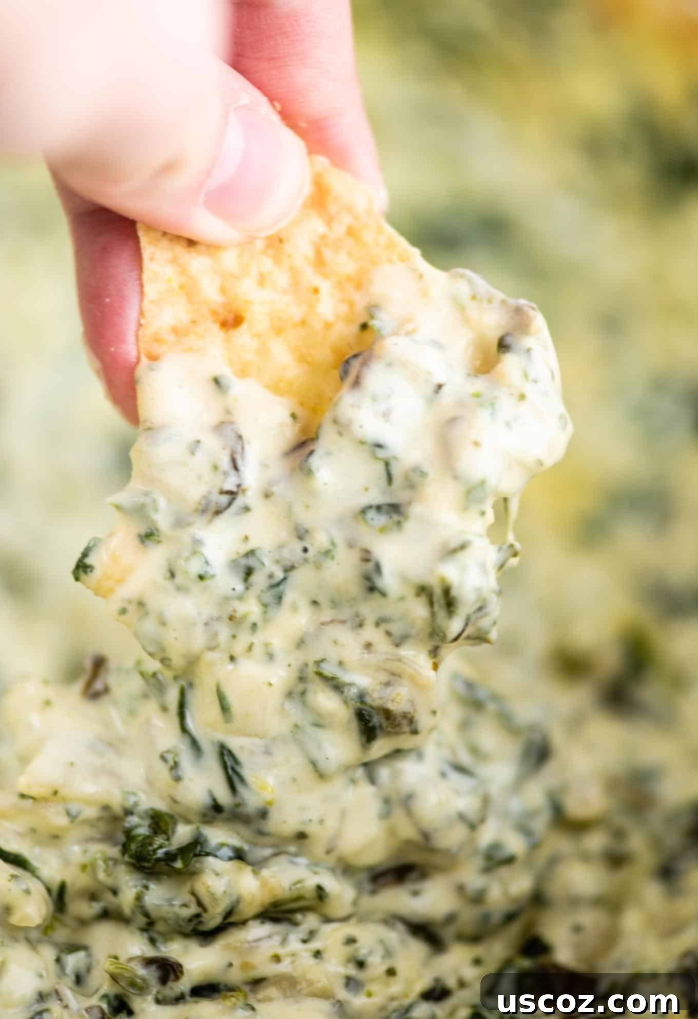 Creamy Slow Cooker Spinach Artichoke Dip 11 a chip being dipped