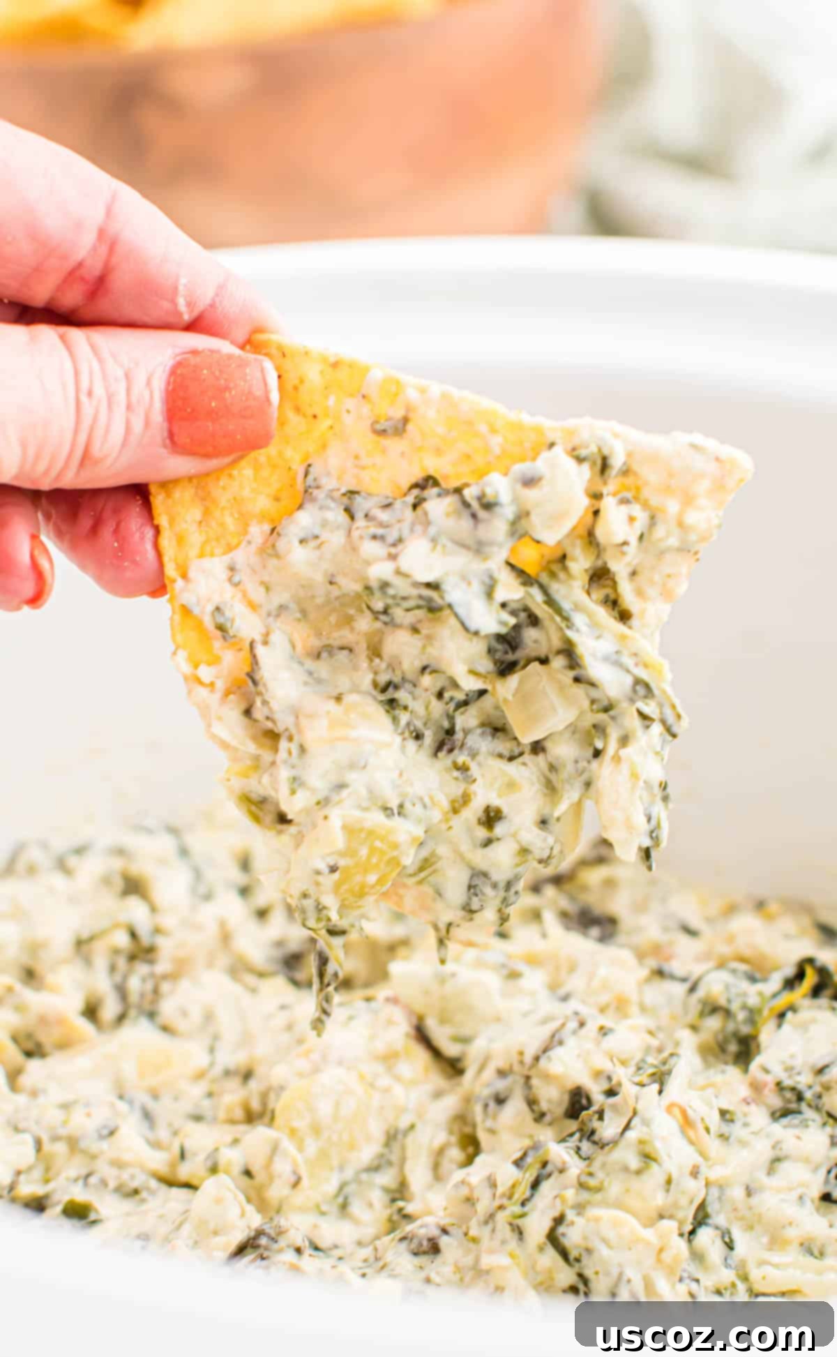 Creamy Slow Cooker Spinach Artichoke Dip 13 chip dipped in spinach artichoke dip