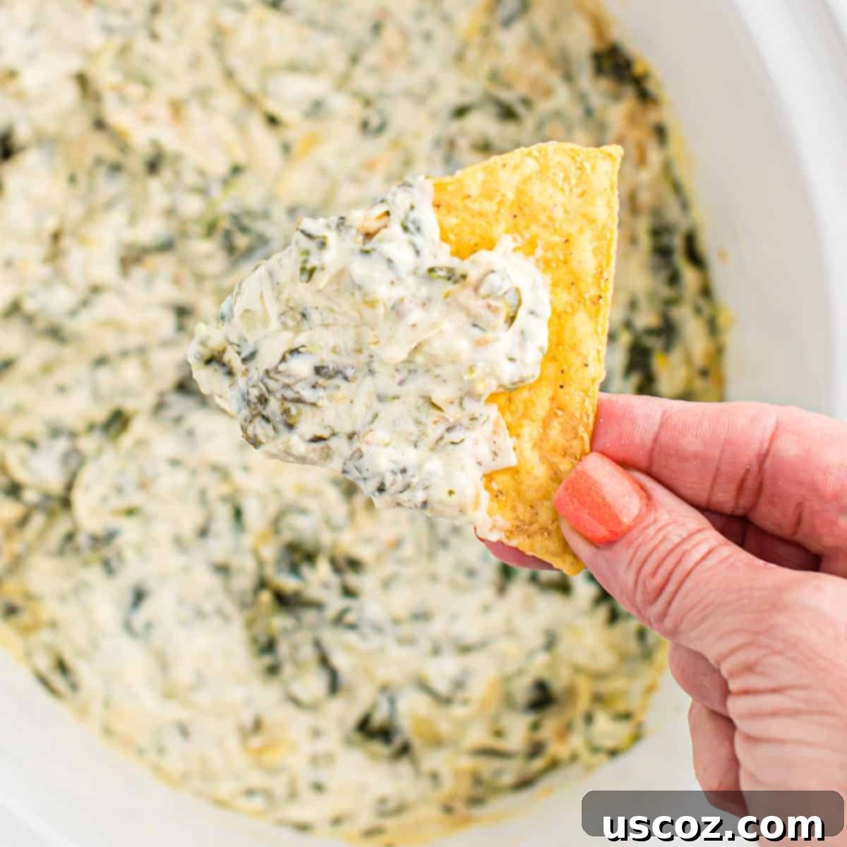 Creamy Slow Cooker Spinach Artichoke Dip 14 dipping a chip into a slow cooker full of spinach artichoke dip