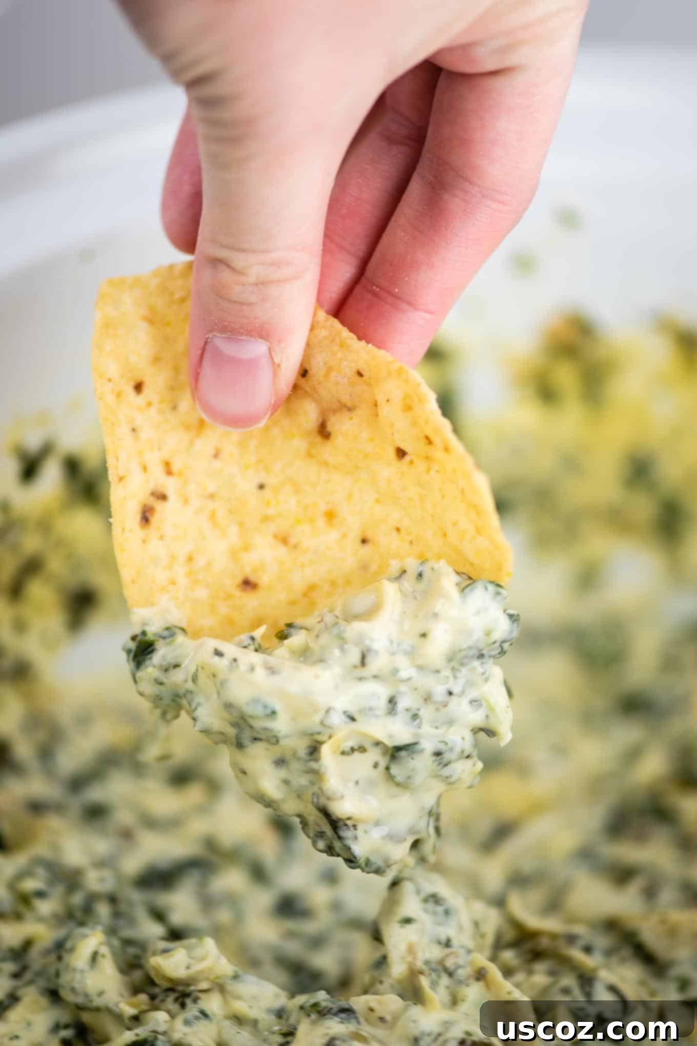 Creamy Slow Cooker Spinach Artichoke Dip 3 fingers holding a chip with slow cooker spinach artichoke dip on it
