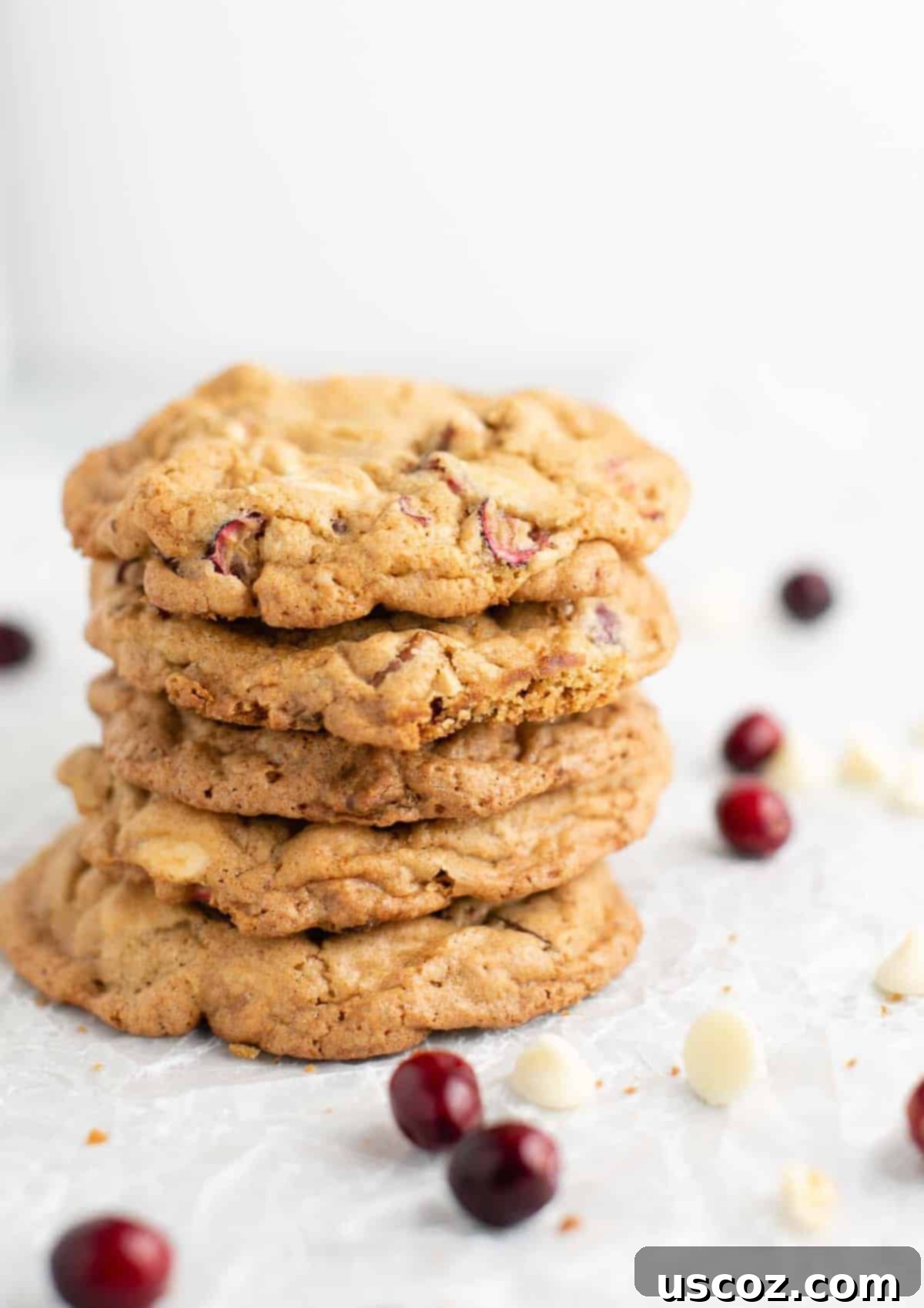 Cranberry Pecan White Chocolate Indulgence 2 5 stacked white chocolate cranberry pecan cookies, perfectly baked and golden