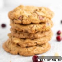 Cranberry Pecan White Chocolate Indulgence 11 5 stacked white chocolate cranberry pecan cookies
