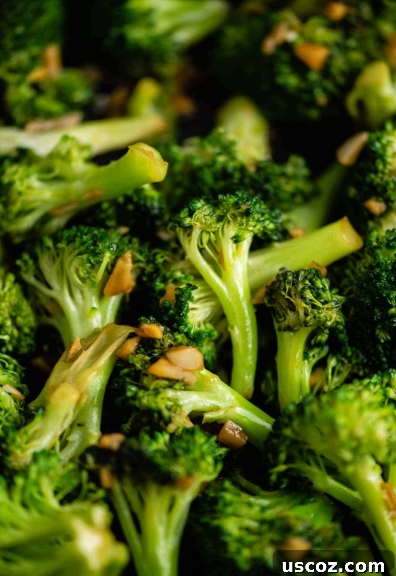 Easy Broccoli Stir Fry 12 up close picture of cooked chinese broccoli with ginger and garlic on top