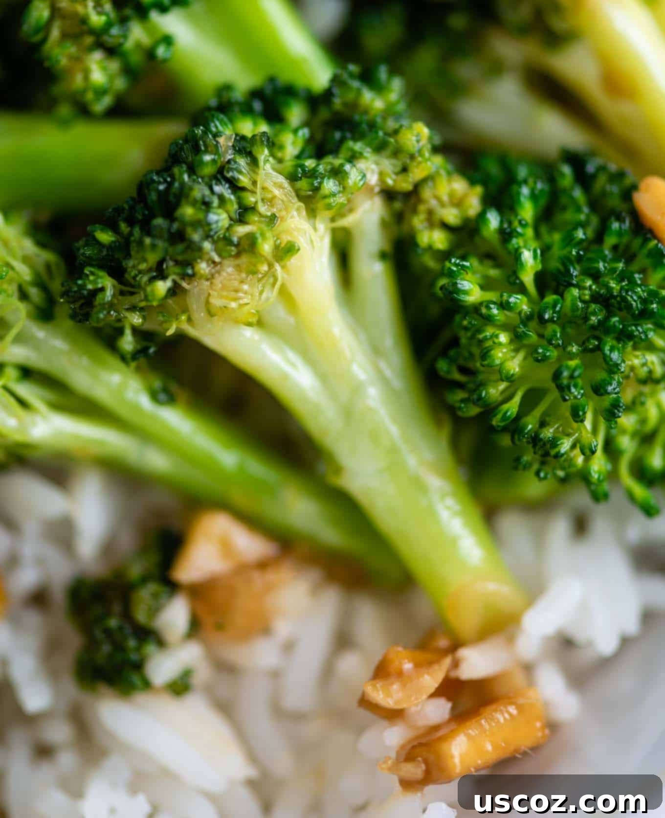 Easy Broccoli Stir Fry 13 broccoli floret and minced ginger up close