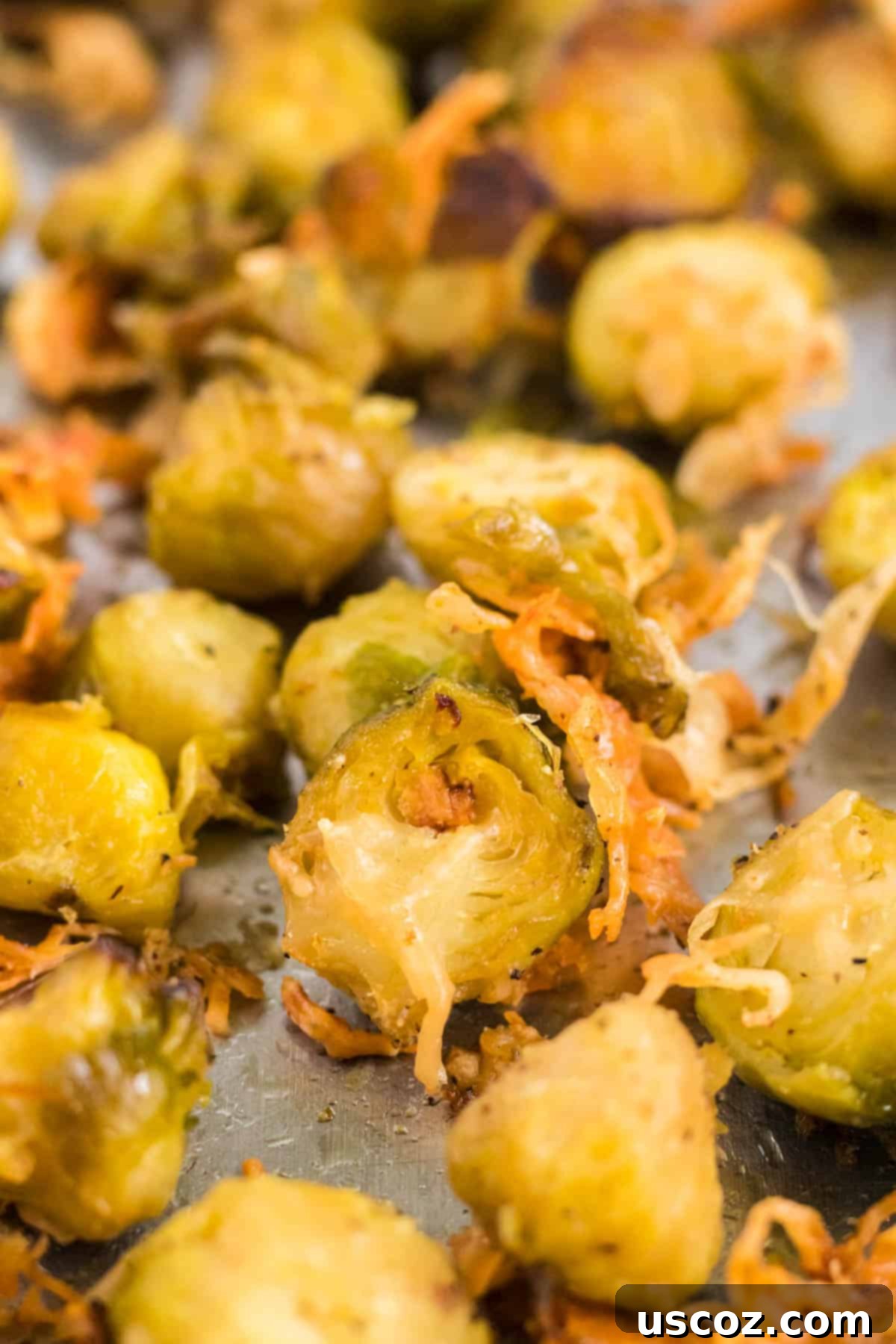 Crispy Roasted Frozen Brussels Sprouts 11 roasted brussel sprout with parmesan cheese