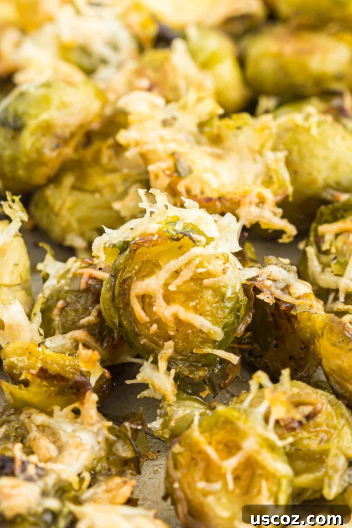Crispy Roasted Frozen Brussels Sprouts 12 roasted frozen brussel sprouts with parmesan cheese
