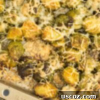 Crispy Roasted Frozen Brussels Sprouts 13 roasted frozen brussel sprouts with parmesan cheese