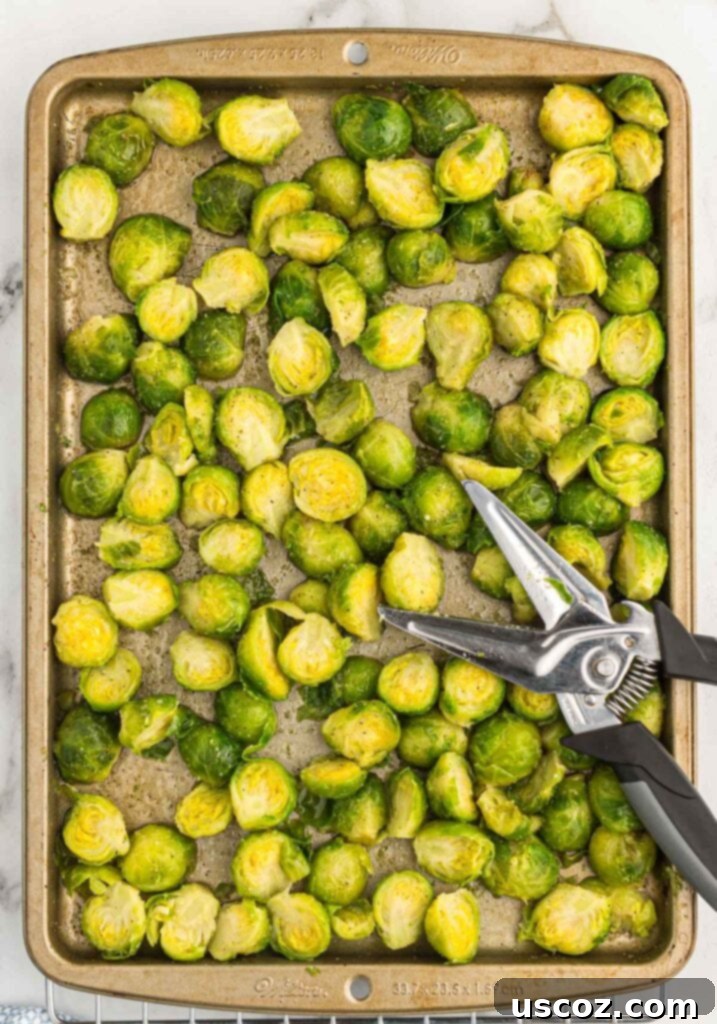 Crispy Roasted Frozen Brussels Sprouts 7 frozen brussels sprouts cut in half using scissors