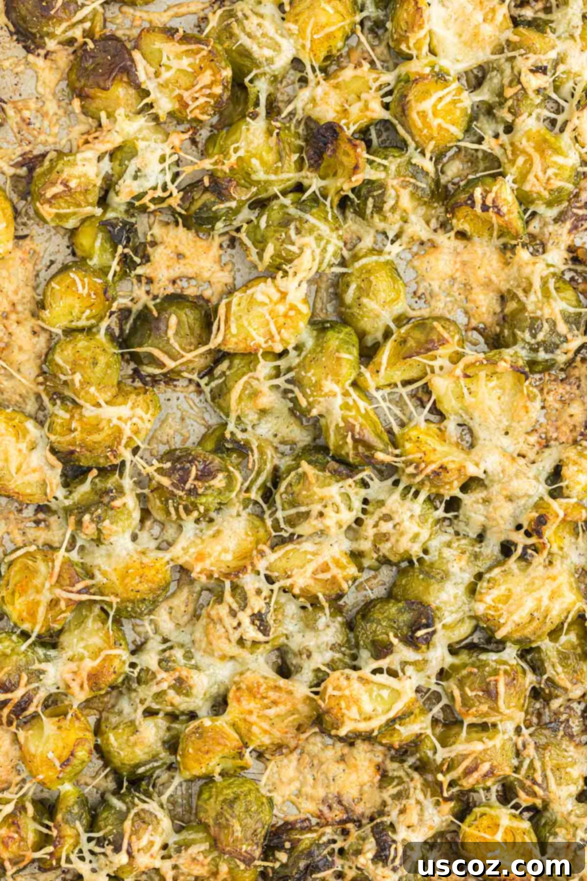 Crispy Roasted Frozen Brussels Sprouts 10 roasted frozen brussel sprouts with parmesan cheese