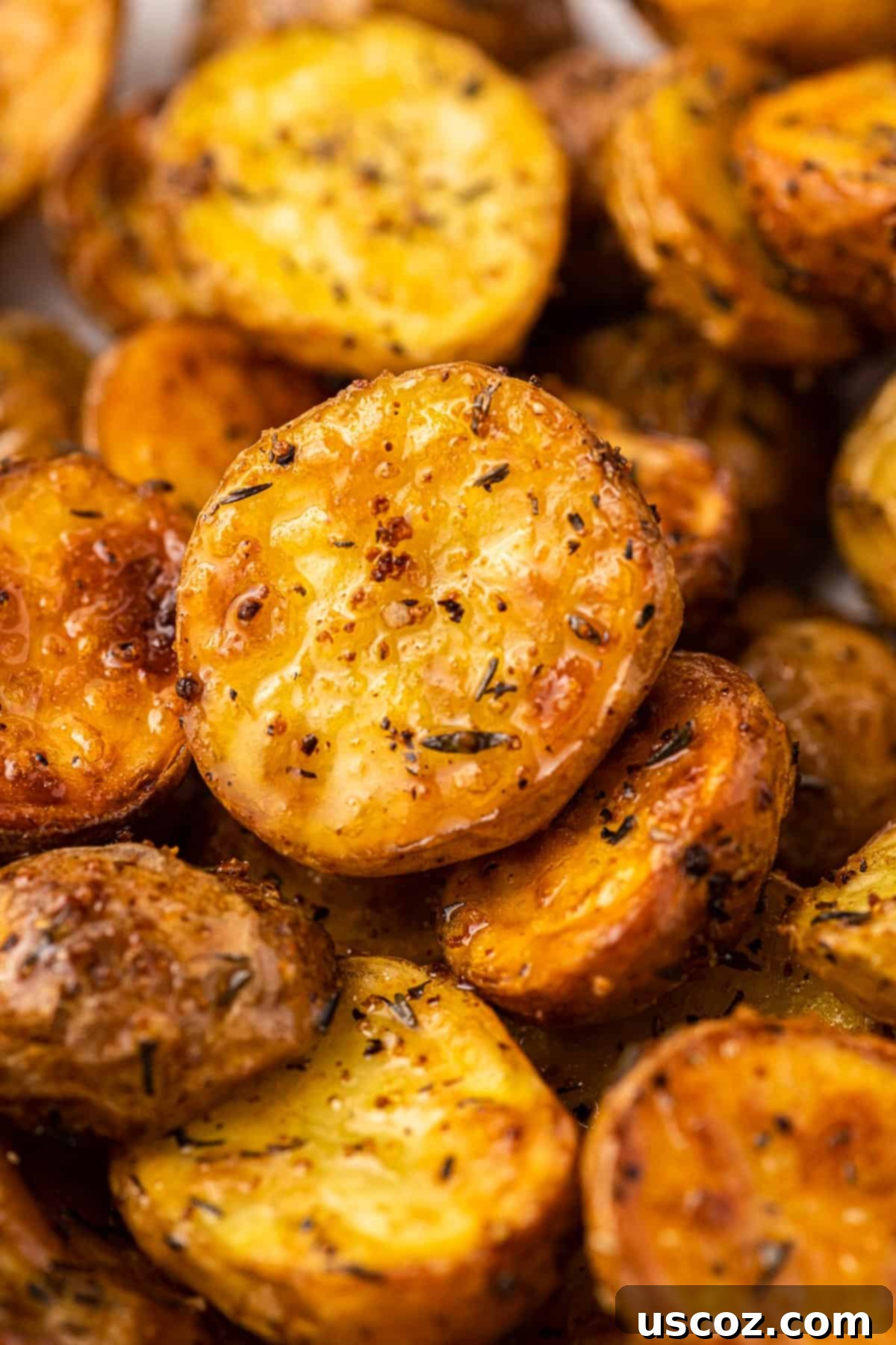 Crispy Golden Air Fryer Baby Potatoes 2 crispy air fryer baby potatoes