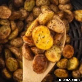 Crispy Golden Air Fryer Baby Potatoes 16 air fryer baby potatoes on a wooden spoon
