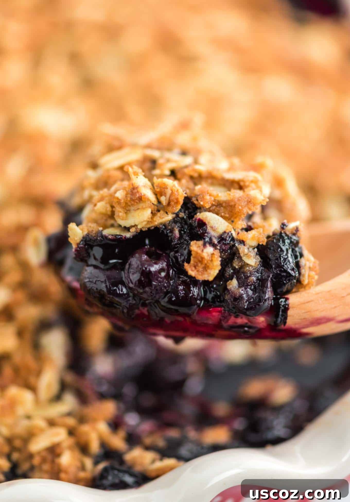 Warm Blueberry Crisp Delight 2 A wooden spoon scooping into a warm blueberry crisp, highlighting the juicy fruit and golden oat topping.