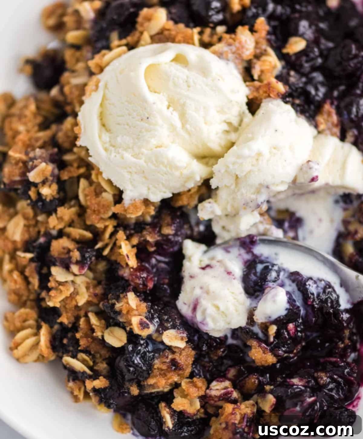 Warm Blueberry Crisp Delight 14 A silver spoon taking a perfect bite of warm blueberry crisp with melting vanilla ice cream.